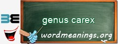 WordMeaning blackboard for genus carex